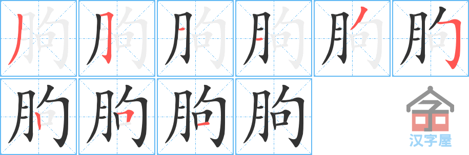 朐 stroke order diagram