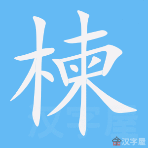 楝 stroke order animation