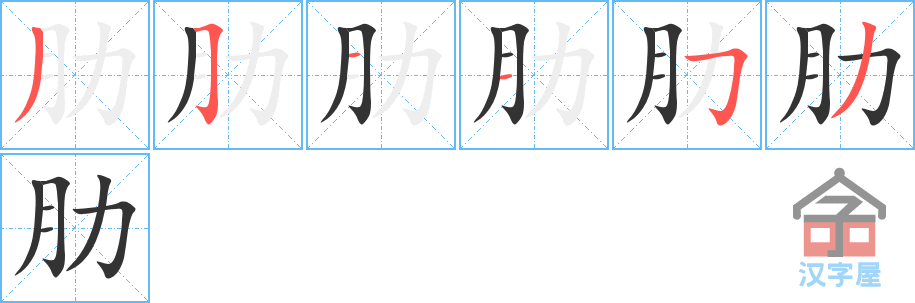 肋 stroke order diagram