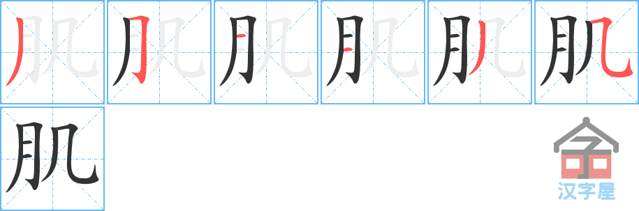 肌 stroke order diagram