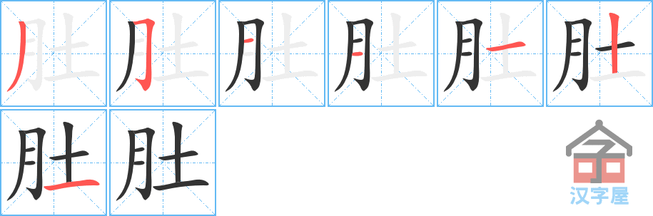 肚 stroke order diagram