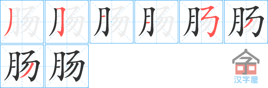 肠 stroke order diagram