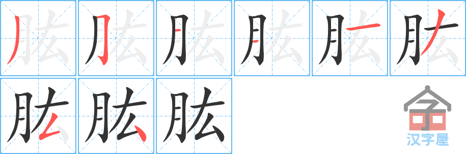 肱 stroke order diagram