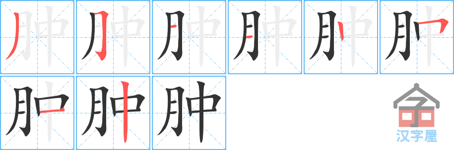 肿 stroke order diagram