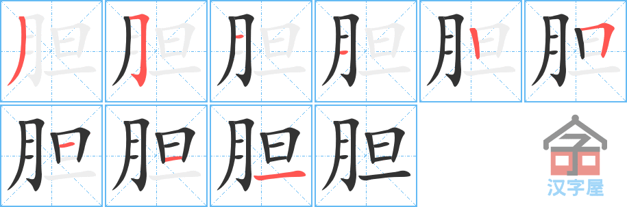 胆 stroke order diagram