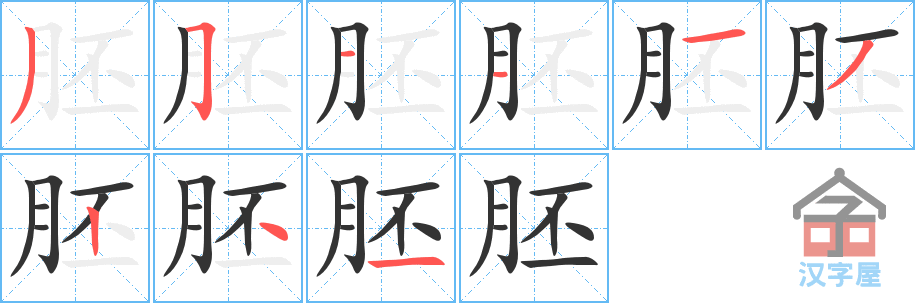 胚 stroke order diagram