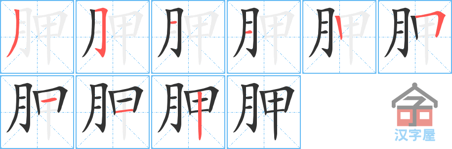 胛 stroke order diagram