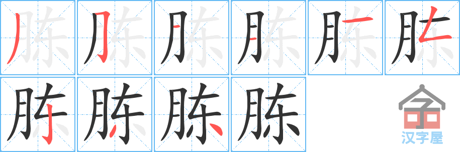 胨 stroke order diagram