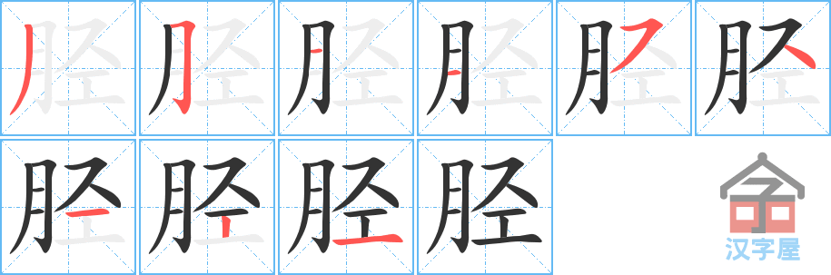 胫 stroke order diagram