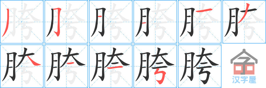 胯 stroke order diagram