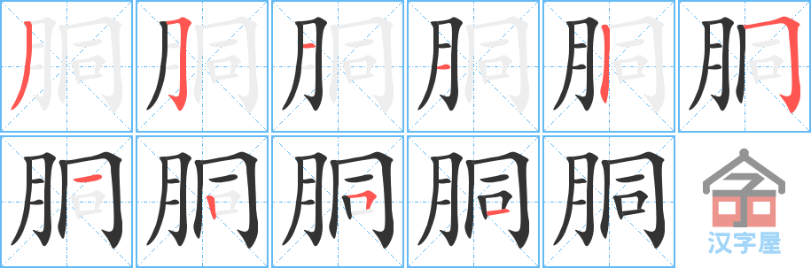 胴 stroke order diagram