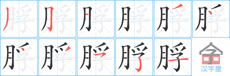 脬 stroke order diagram