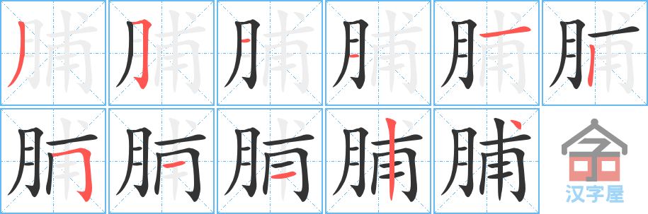 脯 stroke order diagram