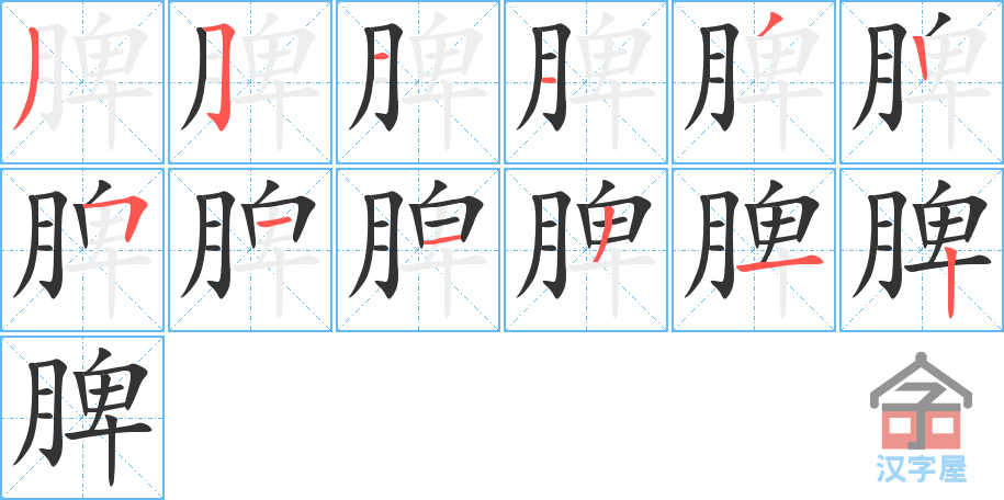 脾 stroke order diagram