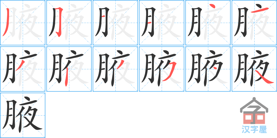 腋 stroke order diagram