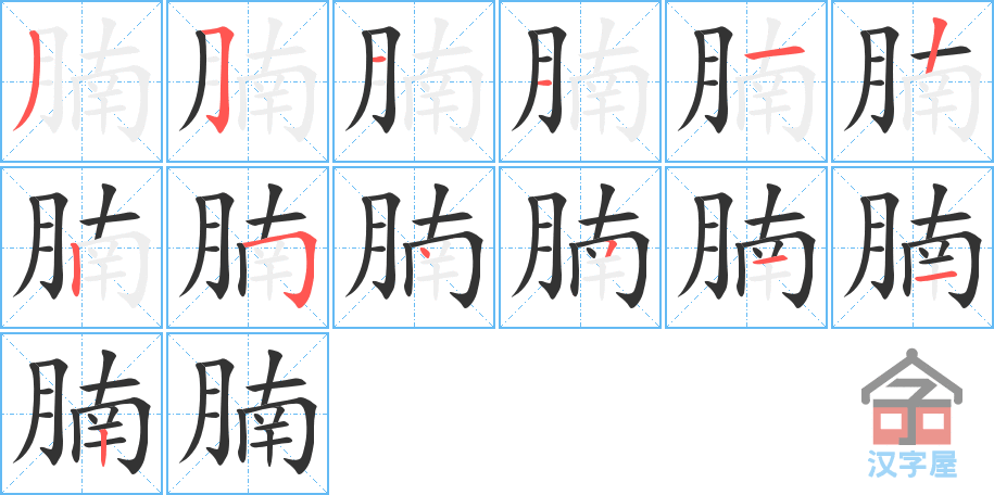 腩 stroke order diagram