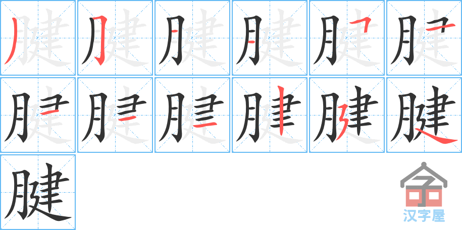 腱 stroke order diagram