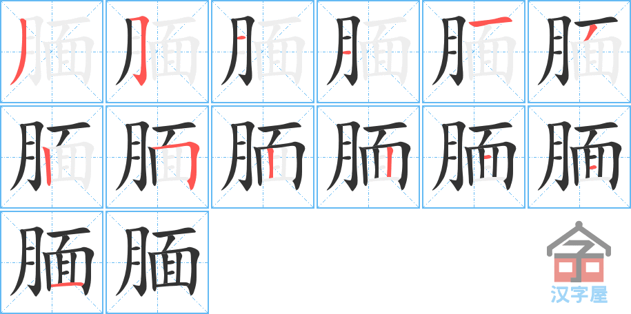 腼 stroke order diagram