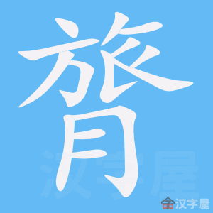 膂 stroke order animation