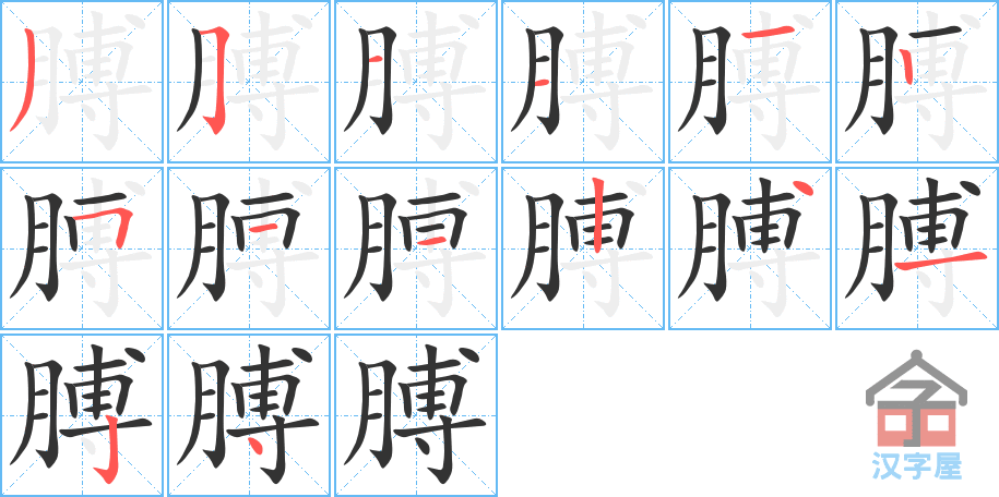 膊 stroke order diagram