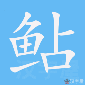 鲇 stroke order animation